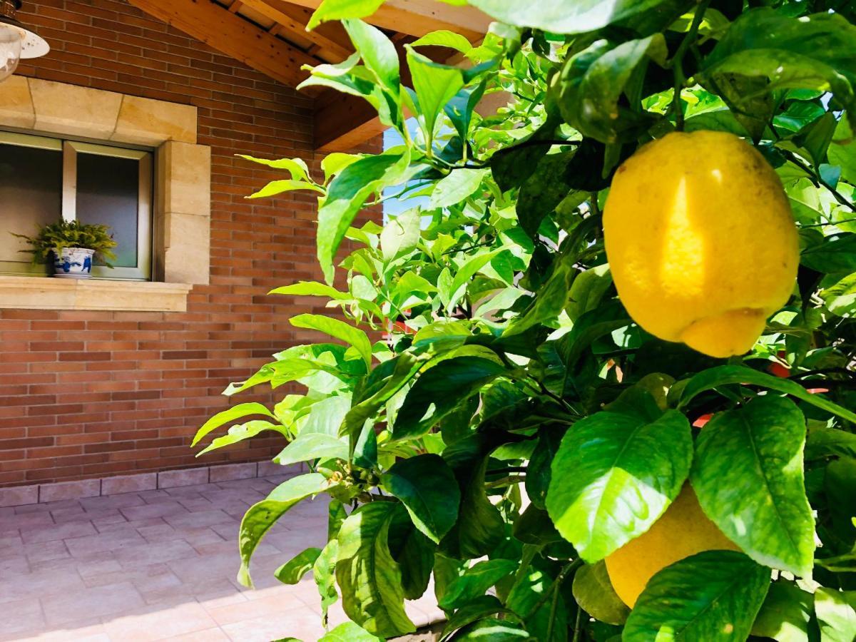 Chalet Con Piscina Privada!!! Altafulla Exteriör bild